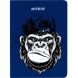 Блокнот тверда обкладинка В6 96 аркушів Blue monkey K22-464-3