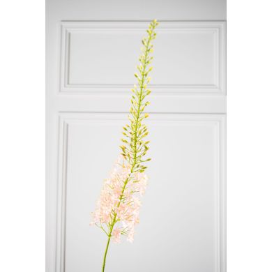 Еремурус, стебло, світло-рожевий, 107 см Silk-ka 160691