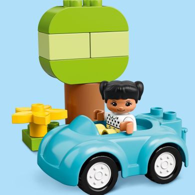 Конструктор LEGO DUPLO Classic Коробка с кубиками, 65 деталей 10913