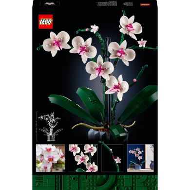 Конструктор Орхидея LEGO Botanicals 10311