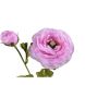 Цветок искусственный Лютик бледно-розовый 63 см. Silk-ka 138241