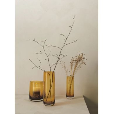 Ваза, бурштинова, 14см, ASA Selection 88012009