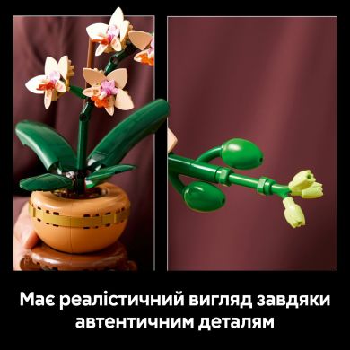 Конструктор Мини орхидея LEGO Botanicals 10343