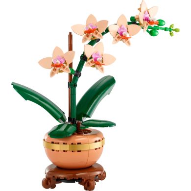 Конструктор Мини орхидея LEGO Botanicals 10343