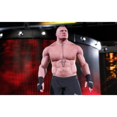 Гра WWE 2K20 [Xbox One, Russian subtitles] 5026555361262