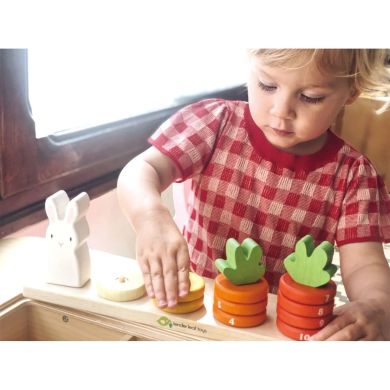 Іграшка з дерева Рахувати моркву Tender Leaf Toys TL8407