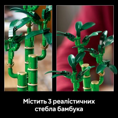 Конструктор Бамбук щастя LEGO Botanicals 10344