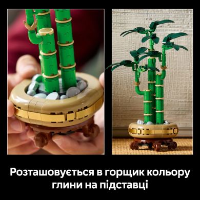 Конструктор Бамбук щастя LEGO Botanicals 10344