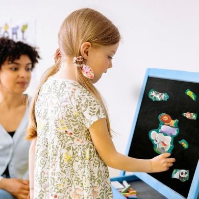 Магнитная игра Друзья из джунглей Dodo 7003125
