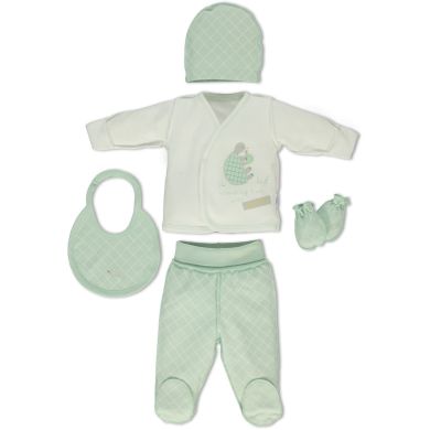 Набор одежды из 5 предметов для новорожденных TURTLE FAмILY Bebetto 0-3м/62см Z 751