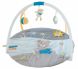 Дитячий килимок з дугою Bieco Anton Adventure 37100910, Коричневий