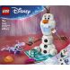Конструктор LEGO Disney Princess Веселощі на пікніку Олафа та Бруні 43287