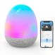 Настільний світильник розумний Govee H6057 Night Light, RGBIC, WI-FI/Bluetooth, білий H6057301