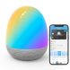 Настільний світильник розумний Govee H6057 Night Light, RGBIC, WI-FI/Bluetooth, білий H6057301