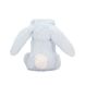 Пустушка Jellycat (Джеллі кет) Bashful Зайчик блакитна SOB444B, Блакитний