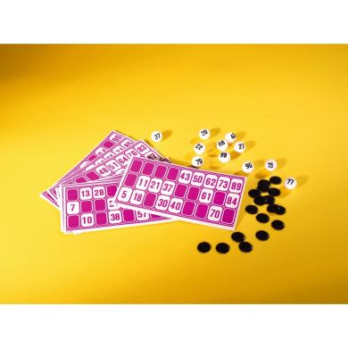 Игра Цифровое лото, 30 х 23 х 18 см, 6+ NORIS 606150493