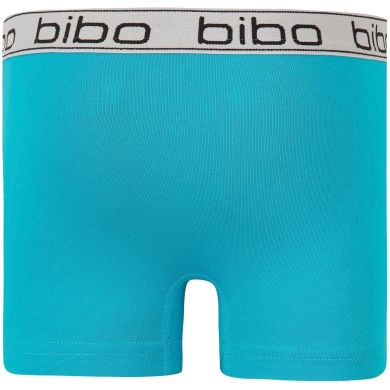 Труси для хлопчика Bibo боксерки арт. 24049 р. 92 Блакитний