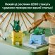 Конструктор Щасливі рослини LEGO Botanicals 10349