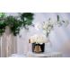 Аромат для приміщень 5 Троянд Pink Blush у прозорій склянці, Black Glass Cote noire GMRB62