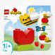 Конструктор Моя перша квітка та бджілка LEGO Bags DUPLO 30686