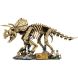 Конструктор Скам'янілості динозаврів: трицератопс Lego Jurassic World 77985