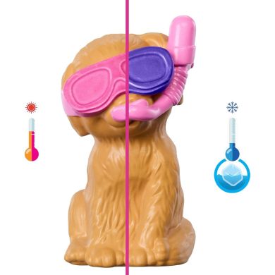 Набір Басейн для цуценят з лялькою Barbie JBF35
