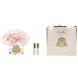 Аромат для помещений 5 Роз Pink Blush в прозрачном стакане, Clear Glass Cote noire GMH88