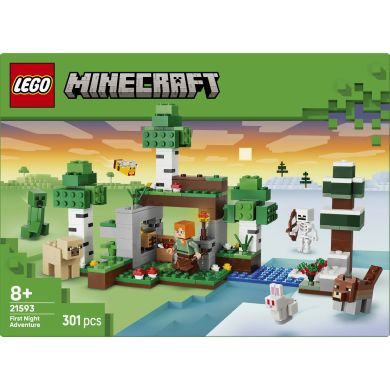 Конструктор Пригода першої ночі Lego Minecraft 21593