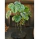 Цветок искусственный Монстера подвесная зеленая 160 см. Silk-ka 141440