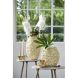 Декоративная ваза &Oslash;28x29 см AGELLO кремовая Light&Living 5706943