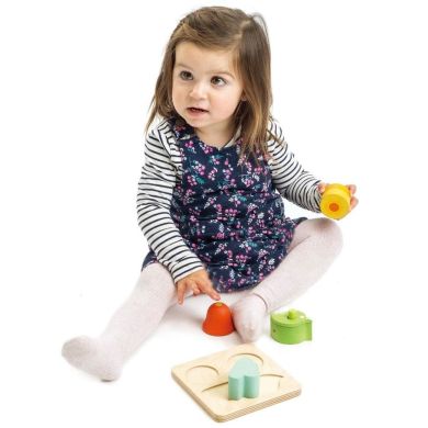 Іграшка з дерева Сенсорний сортер Tender Leaf Toys 8404