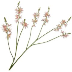 Крокосмія, гілка, рожево-зелена, 117 см Silk-ka 160358