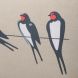 RSPB Прямокутна подушка ластівки Half Moon Bay CUSHRSPB05, 30 x 50