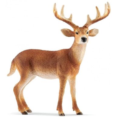 Игрушка-фигурка Schleich Белохвостый олень 14818