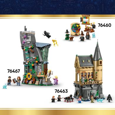 Конструктор LEGO Harry Potter Котел: Таємний клас зіллєваріння 76464