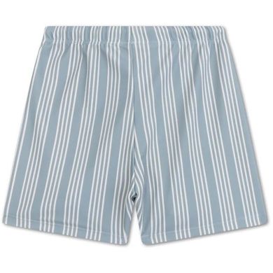 Плавки-боксери Resort Смужки 122/128 Swim Essentials 2024SE1411