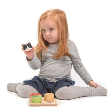 Іграшка з дерева Сенсорний сортер Tender Leaf Toys 8406