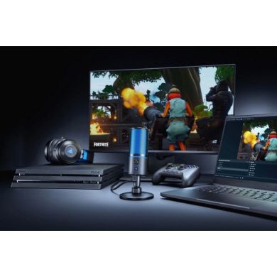 Микрофон Razer Seiren X PS4 RZ19-02290200-R3G1
