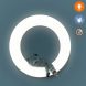 Светильник-Ночник Zazu Wall Настенный c игрушками с автоотключением ZA-WALL-01, Белый