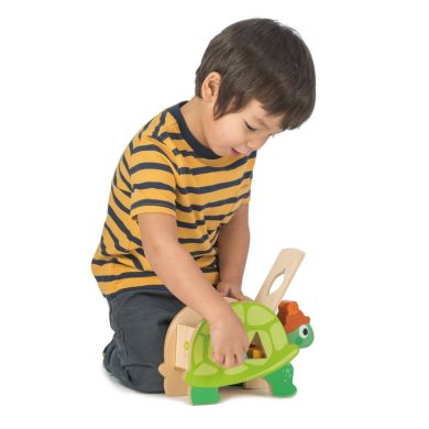Игрушка из дерева Сортер-черепаха Tender Leaf Toys TL8456, Зелёный