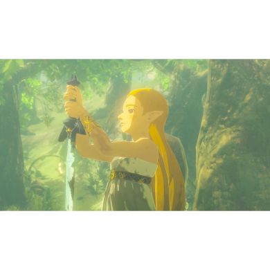 Игра консольная Switch 2 Legend of Zelda: Breath of the Wild, картридж 0045496312664