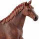 Пластиковая фигурка Schleich Английская кобыла 13855