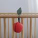 Футляр для пустушки &laquo;Яблуко&raquo;, Oli&Carol L-PACIFIER-APPLE