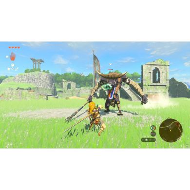 Игра консольная Switch 2 Legend of Zelda: Tears of the Kingdom, картридж 0045496312572
