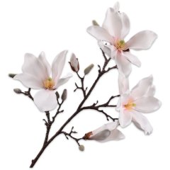 Магнолія, гілка, кремово-рожева, 101 см Silk-ka 156038