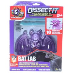 Развивающий набор Slimy Lab Анатомия животных Летучая мышь Joker 38077