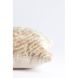Подушка 60x30 см RUHLA, бежева Light&Living 6865213