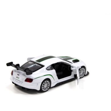 Автомодель BENTLEY CONTINENTAL GT3 (білий) TechnoDrive 250258