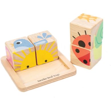Іграшка з дерева Дерев'яні кубики Tender Leaf Toys TL8452