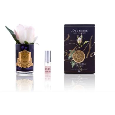 Аромат для приміщення бутон Троянди Blush pink у прозорій склянці із фетилем Cote noire GMRB42